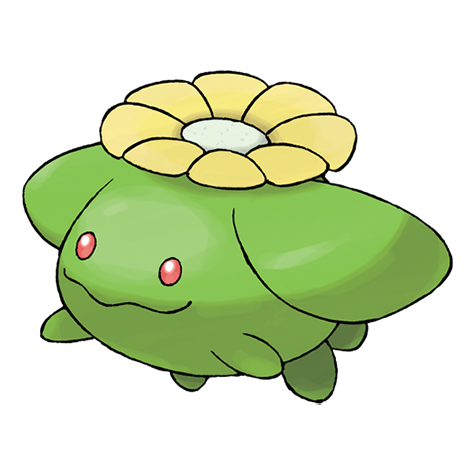 ポポッコ